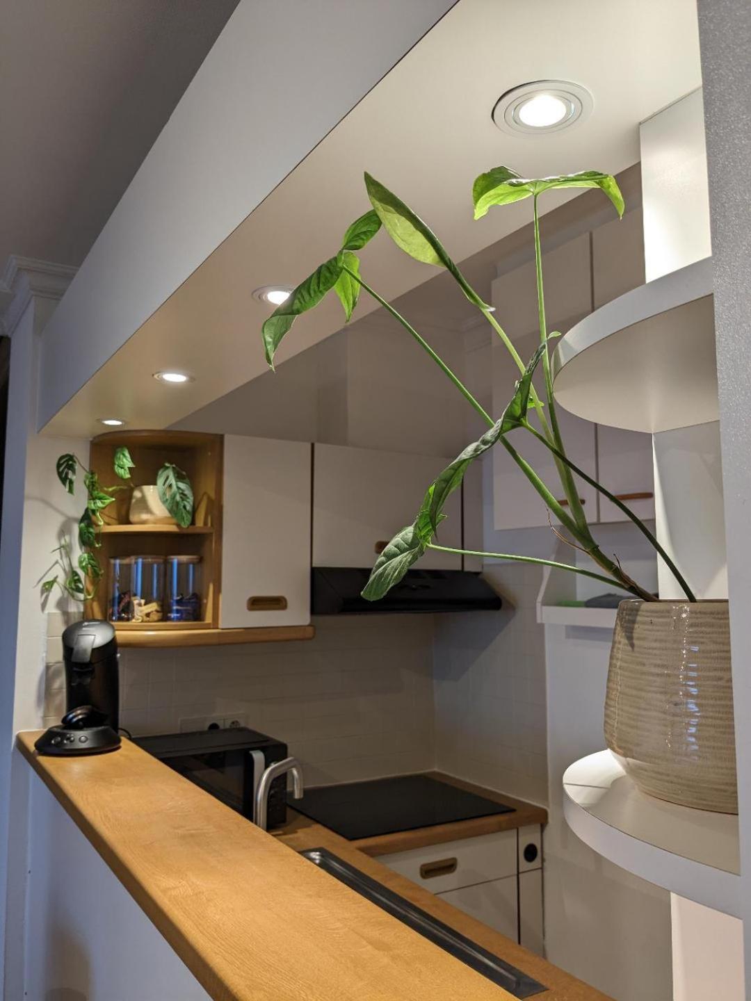 Vista Linda, Leuk Appartement Vlak Bij Zeedijk En Strand Ostende Kültér fotó