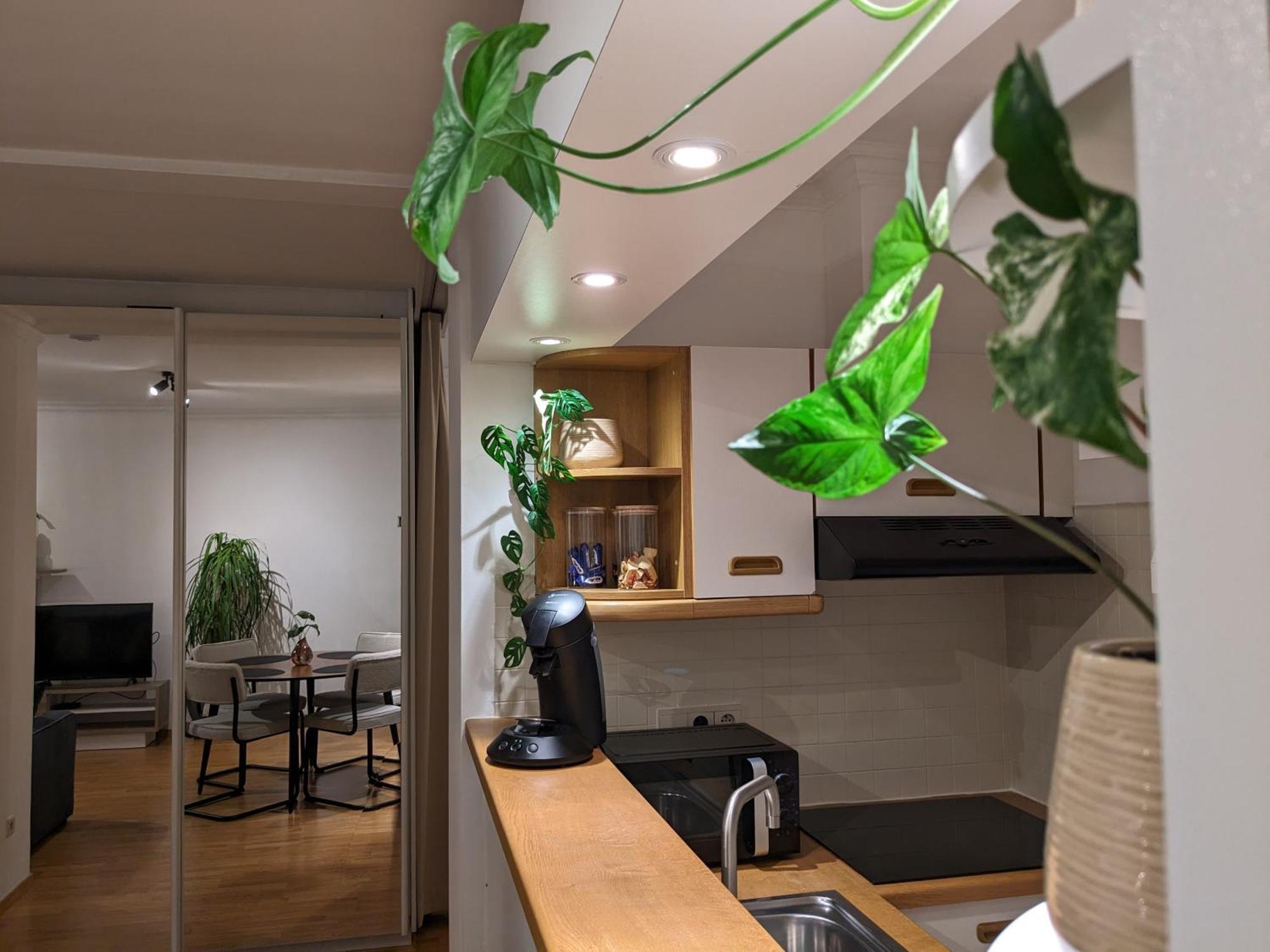 Vista Linda, Leuk Appartement Vlak Bij Zeedijk En Strand Ostende Kültér fotó